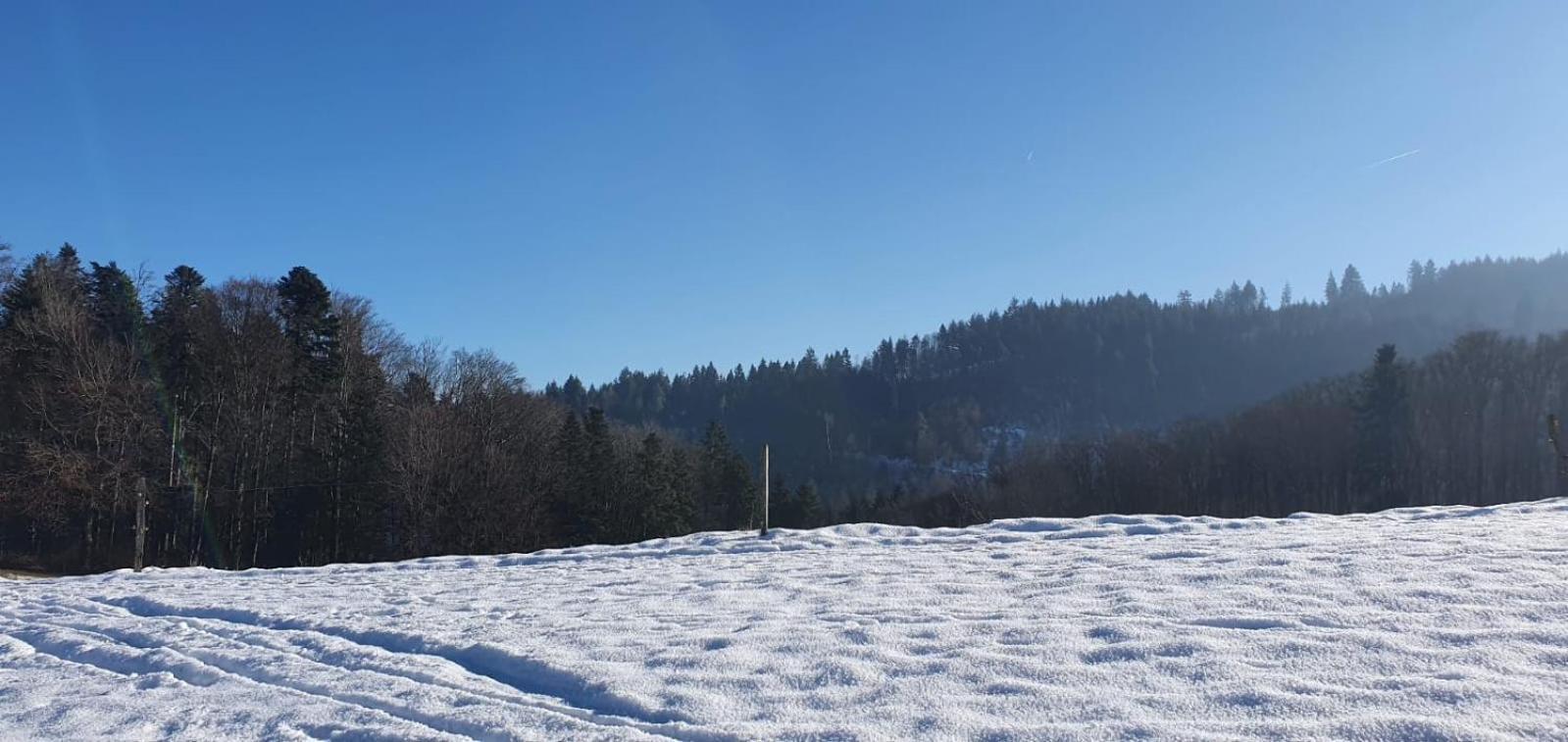 Wohnung Im Schwarzwald Mit Panorama Blick Kleines Wiesental Kültér fotó