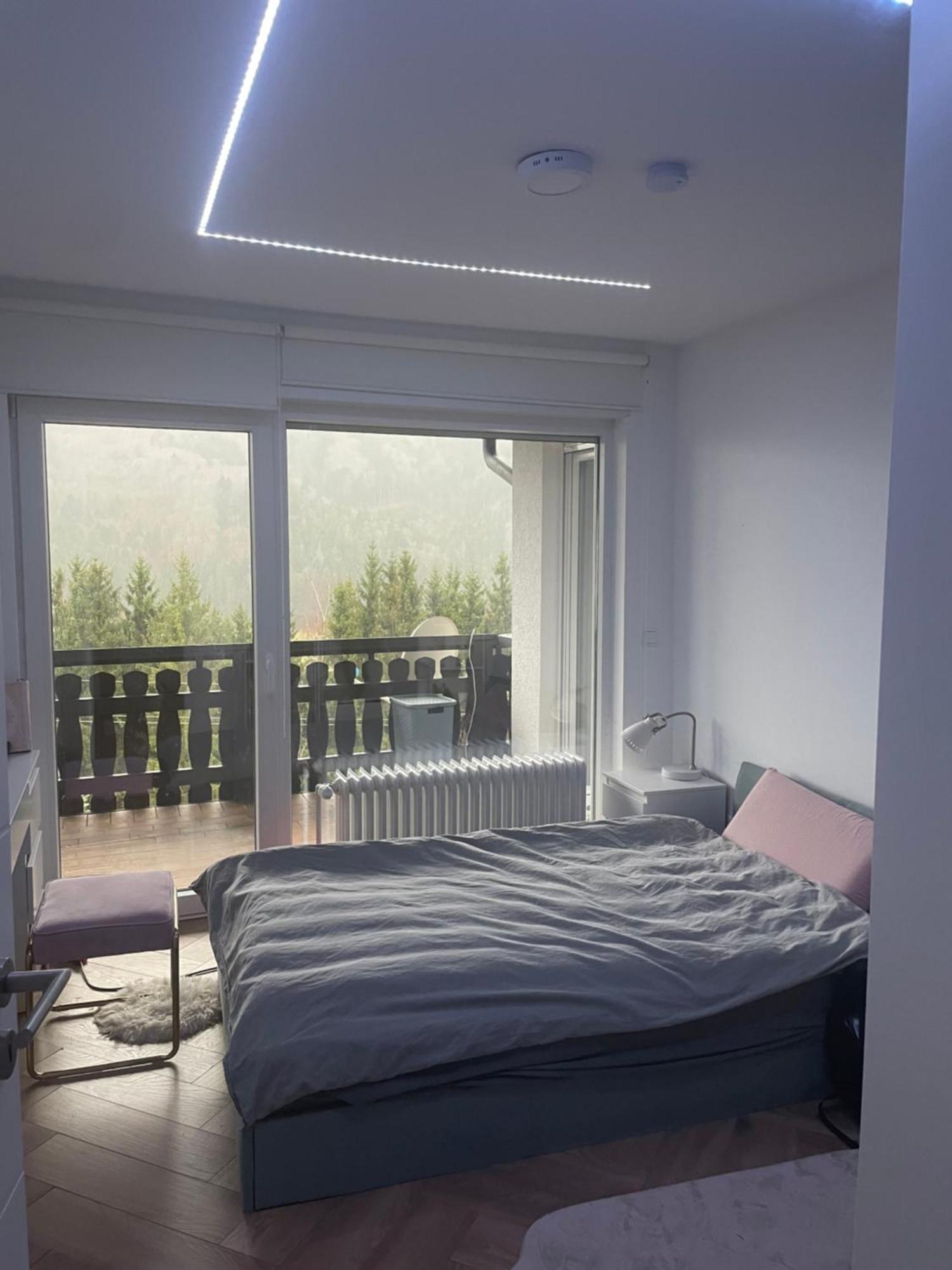 Wohnung Im Schwarzwald Mit Panorama Blick Kleines Wiesental Kültér fotó